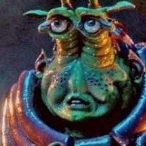 Meet your Posher, Franklin